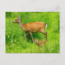 Buscar madre y niño postales Para todos