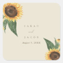 Buscar sunflower Bohemio