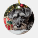 Buscar schnauzer adornos Contenido generativo