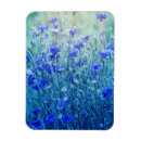 Buscar digital azul imanes Turquesa