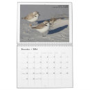 Buscar aves calendarios Naturaleza