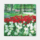 Buscar tulipanes blancos imanes Primavera