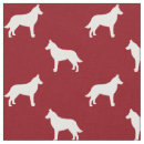 Buscar malinois belgas Perro
