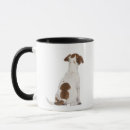 Buscar jack russell terrier tazas Animal