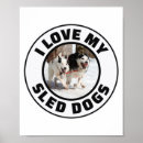 Buscar perro de trineo posters Husky