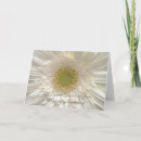 Buscar margaritas blancas tarjetas Parejas