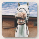 Buscar boca del caballo Caballos