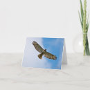 Buscar alza tarjetas Naturaleza
