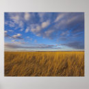 Buscar lago congelado arte Tranquilidad