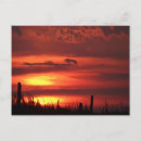 Buscar llano postales General y unisex