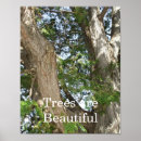 Buscar tronco posters Tronco de árbol