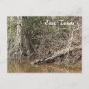 Buscar orientales postales Naturaleza