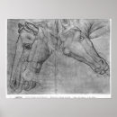 Buscar estudio de un caballo posters Dibujo