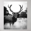 Buscar selva posters Moderno