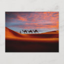 Buscar dunas de arena postales Emiratos árabes unidos