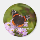 Buscar de las mariposas imanes Para ella