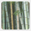 Buscar kyoto pegatinas Inclinación de roble