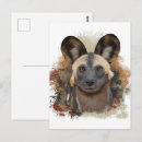 Buscar perro salvaje africano postales Vida salvaje africana