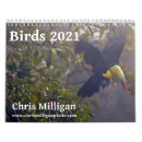 Buscar pingüinos calendarios Aves