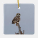 Buscar lechugas adornos Para todos