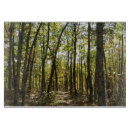 Buscar sendero tablas cortar Otoño