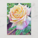 Buscar peace postales Para ella