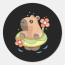 Buscar capybara postales Santa