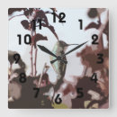 Buscar hummingbird relojes de pared Animales