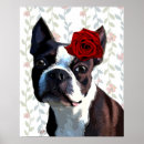 Buscar boston terrier arte Animales