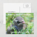 Buscar pájaros de bebé postales Para todos
