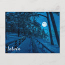 Buscar pinar postales Bosque