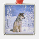 Buscar lobo de madera adornos Nieve