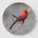 Buscar birdwatching arte Birdwatcher