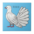 Buscar palomas azulejos General y unisex