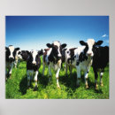 Buscar agricultura posters Naturaleza