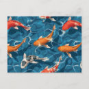 Buscar carp postales Carpa koi