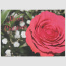 Buscar rose papel de seda Rojo