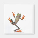Buscar fauna imanes Escalas