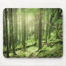 Buscar arbolado electronica Bosque