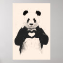 Buscar amor de la panda posters Animal