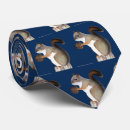 Buscar ardillas corbatas Animales