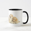 Buscar pipa tazas Perro