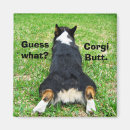 Buscar corgi imanes Humor