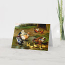 Buscar patos negros tarjetas Pájaro