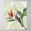 Buscar foilage Tropical