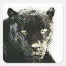 Buscar jaguar pegatinas Mamífero