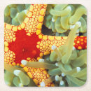 Buscar estrella roja posavasos Estrella de mar