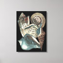Buscar seashell arte Costero