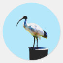 Buscar ibis pegatinas 9 ª ibis