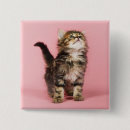 Buscar gatito chapas Fotografía